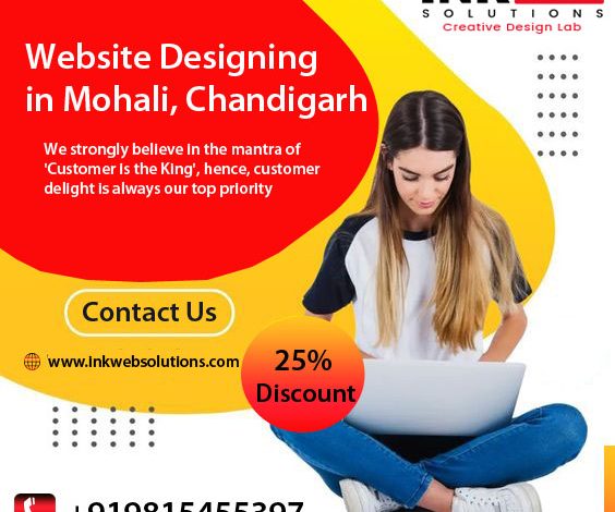 Delivering Professional Solutions for Every Business Need Web Designing Mohali