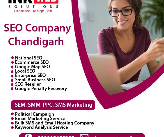 The Unique and Effective Websites Built by Our SEO Team in Chandigarh