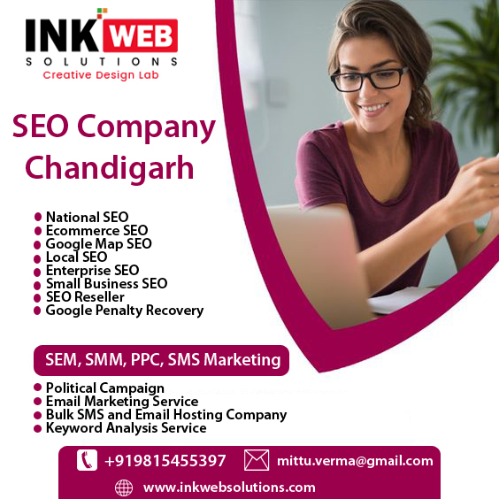 The Unique and Effective Websites Built by Our SEO Team in Chandigarh