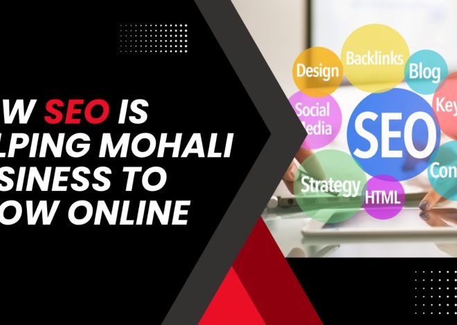 How SEO Services Helped a Mohali Business Grow Online