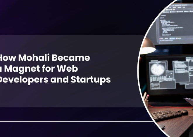 How Mohali Became a Magnet for Web Developers and Startups