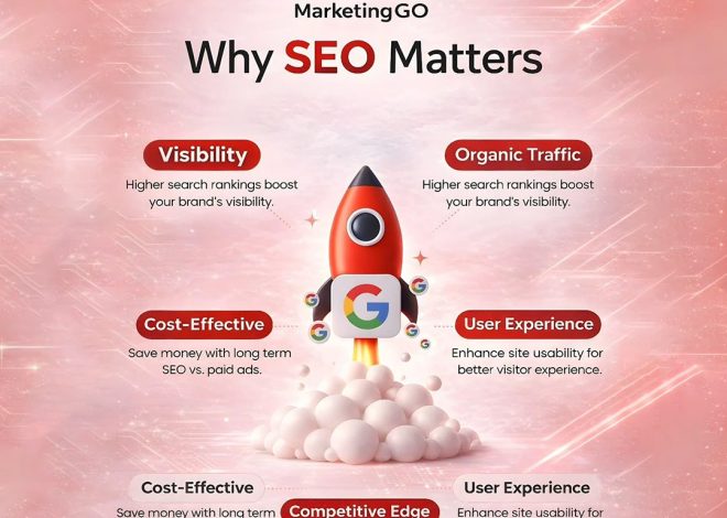 What Should You Look for in an SEO Company Chandigarh