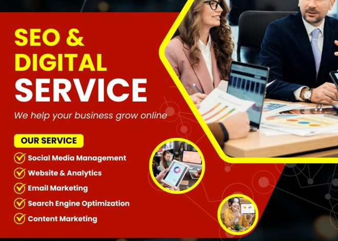 Professional SEO Company in Mohali Proven Results