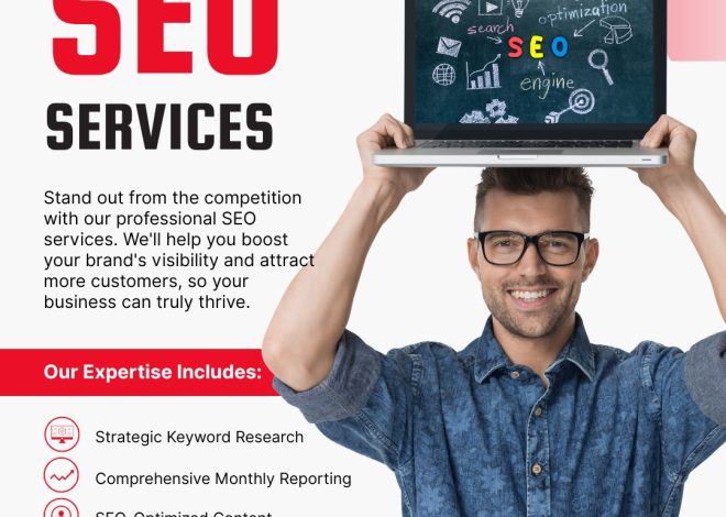 Professional SEO Services in Chandigarh| Rank #1 on Google