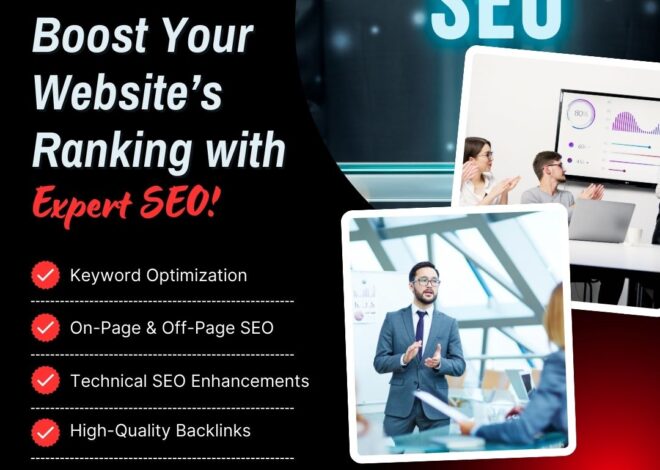How to Choose the Best SEO Company in Chandigarh